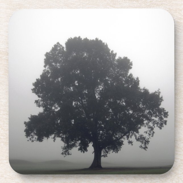 Foggy Tree Beverage Coaster (Front)