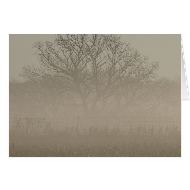Foggy Tree Cards (Front Horizontal)