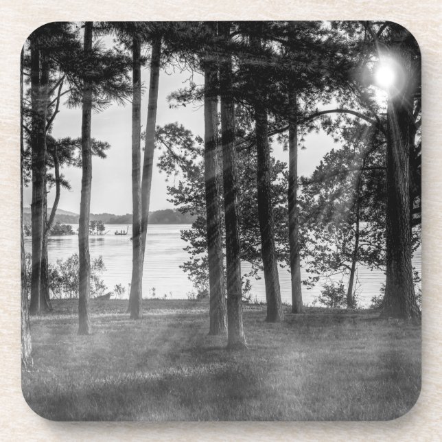 Foggy Trees At Table Rock Grayscale Beverage Coaster (Front)