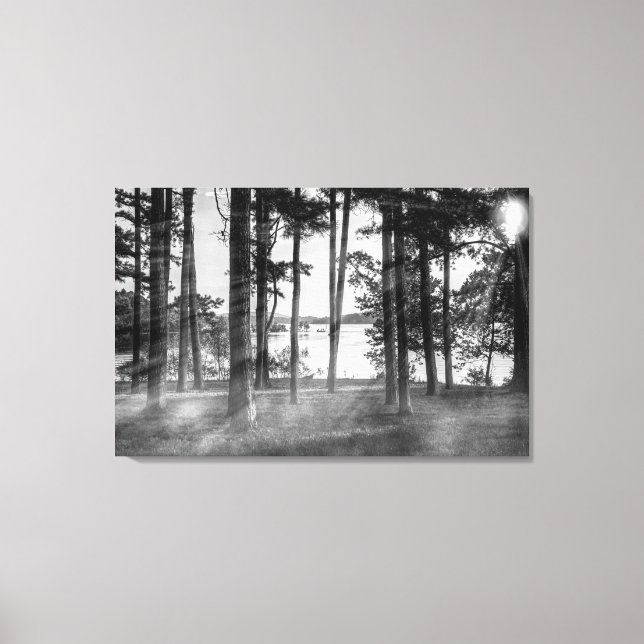 Foggy Trees At Table Rock Grayscale Canvas Print (Front)