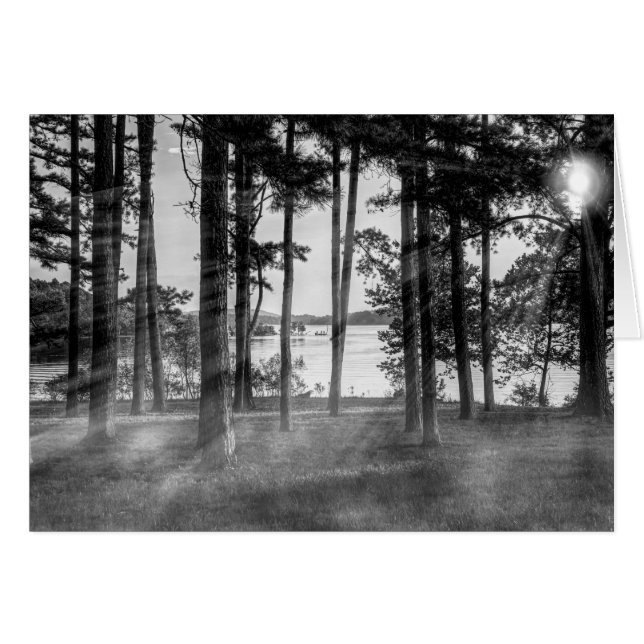 Foggy Trees At Table Rock Grayscale Cards (Front Horizontal)