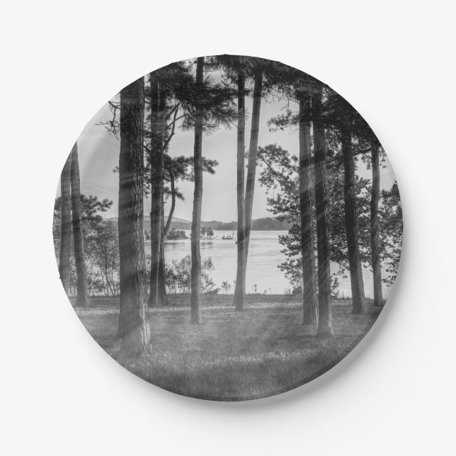 Foggy Trees At Table Rock Grayscale Paper Plates (Front)
