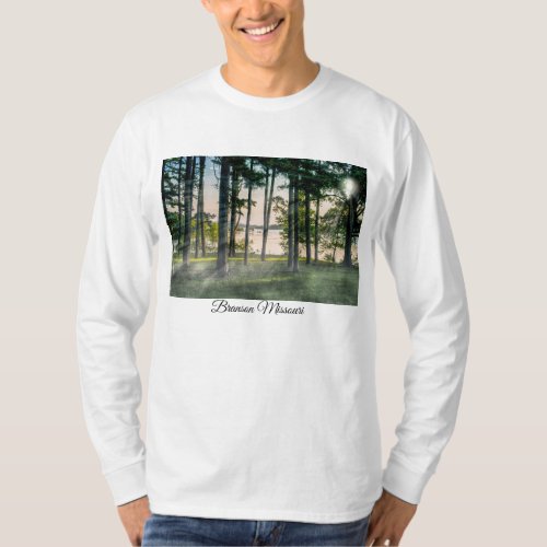 Foggy Trees At Table Rock T_Shirt