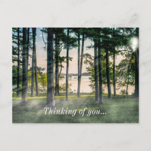 Foggy Trees At Table Rock Thinking Of You Postcard