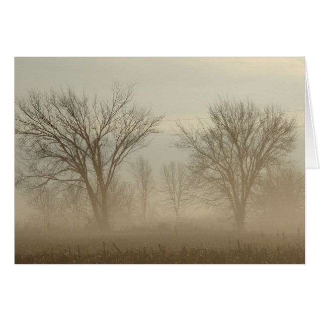 Foggy Trees Cards (Front Horizontal)