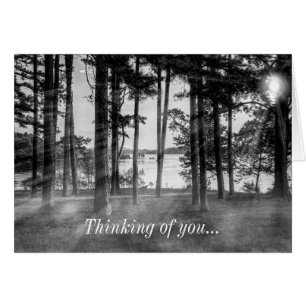 Foggy Trees Table Rock Grayscale Thinking of you Cards