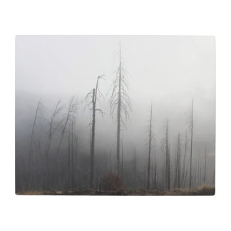 Foggy Treescape Metal Wall Art