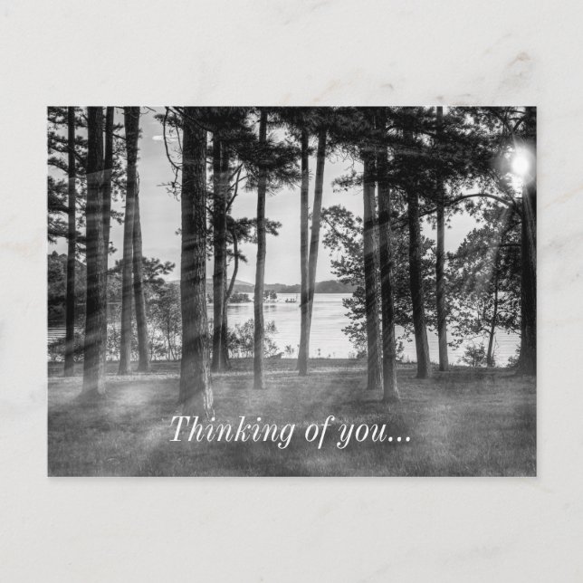 Foggy Treess Table Rock Grayscale Thinking Of You Postcard (Front)