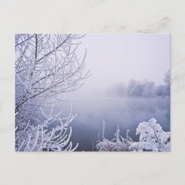 Foggy Winter Day by the River Postcard (Front)