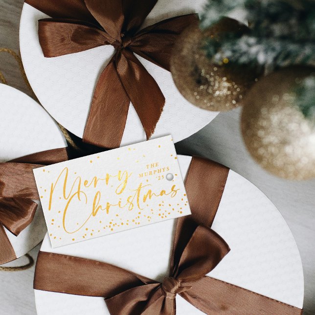 Foil Modern Snow Globe Merry Christmas Gift Tag (Creator Uploaded)