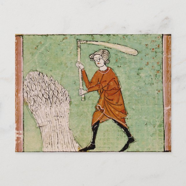 Fol.59r August: Threshing Wheat Postcard (Front)