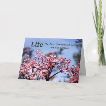 Folded Blank Greeting For All Occasions Card by MyrnaM at Zazzle
