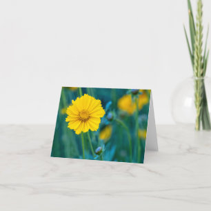 Folded Card Blank Inside