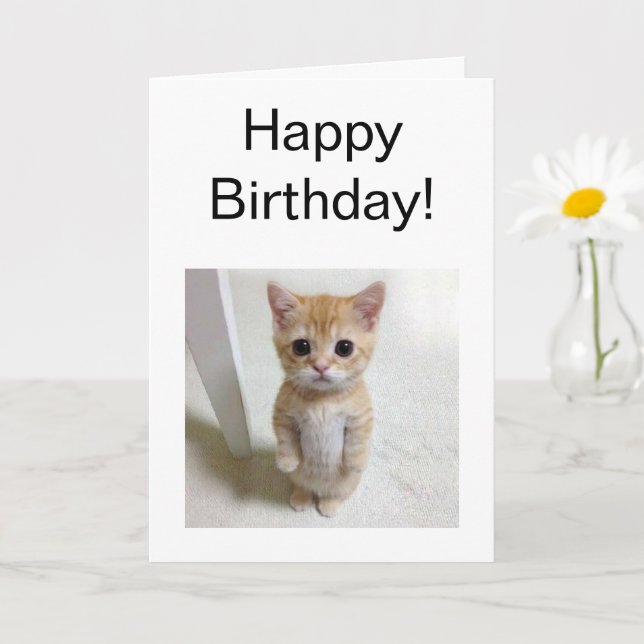 Folded Card El Gato Cat Meme (Small Plant)