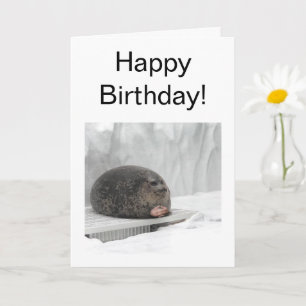 Folded Card Judging Seal Meme