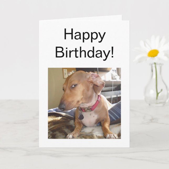 Folded Card Side Eye Dog Meme (Small Plant)