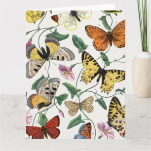 Folded Greeting Butterfly Vintage Card