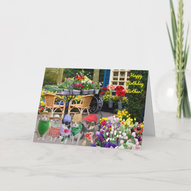 Folded Greeting Card (Front)