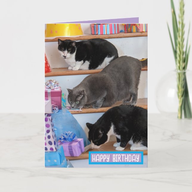 Folded Greeting Card (Front)