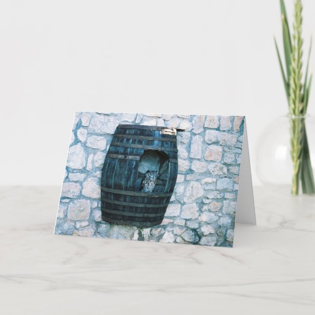 Folded Greeting Card (Front)