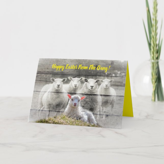 Folded Greeting Card (Front)