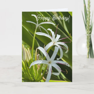 Folded Greeting Card