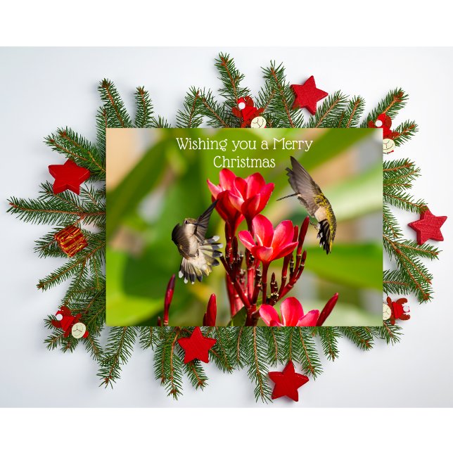 Folded Greeting Card (Creator Uploaded)