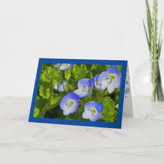 Folded Greeting Card