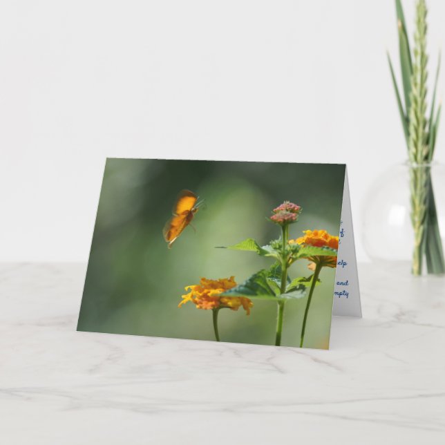 Folded Greeting Card (Front)