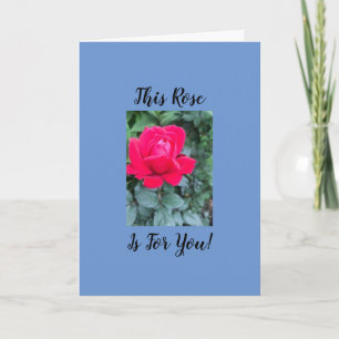Folded Greeting Card