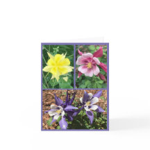 Folded Greeting Card