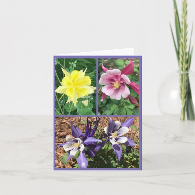 Folded Greeting Card (Front)