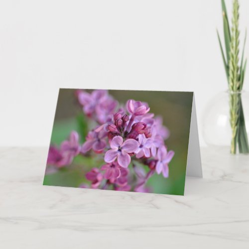 Folded Greeting Card with lilac flower photograph
