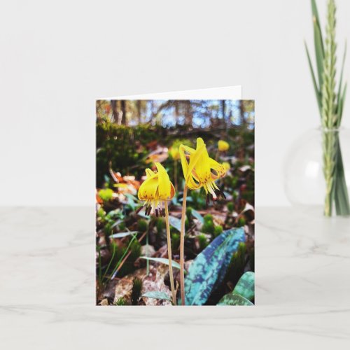 Folded greeting card with wildflower photo