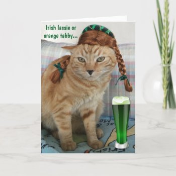 Folded Holiday Card by CrazyTabby at Zazzle