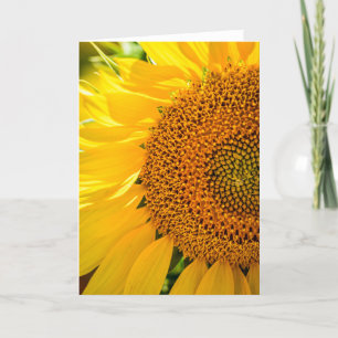 Folded Invitation