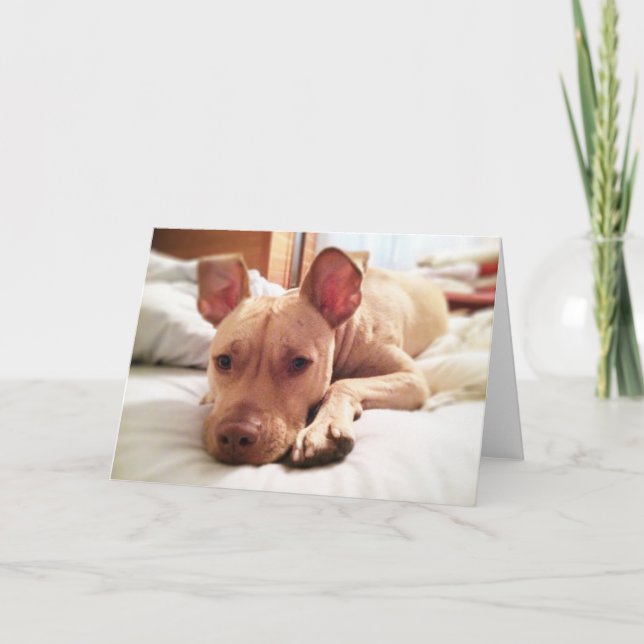 Folded Leon Greeting Card (Front)