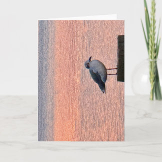 Folded Note Card