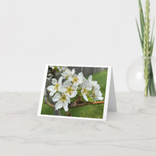 Folded Note Card