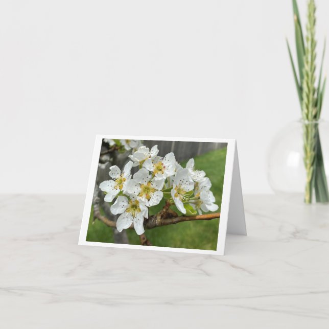 Folded Note Card (Front)