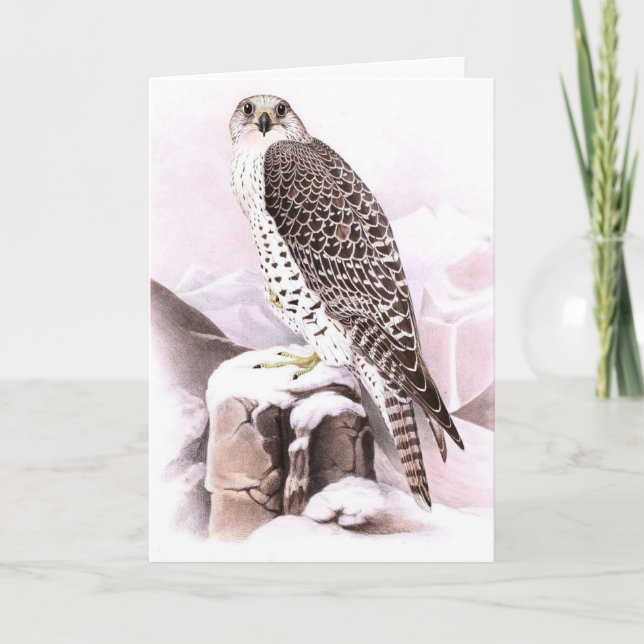 Folded Note Card BIRD IN SNOW (Front)