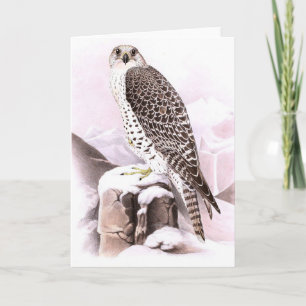 Folded Note Card BIRD IN SNOW