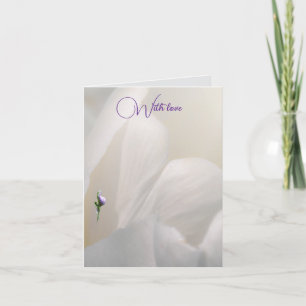 Folded note cards 