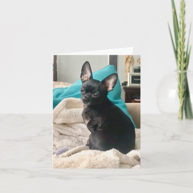 folded notecard  (Front)