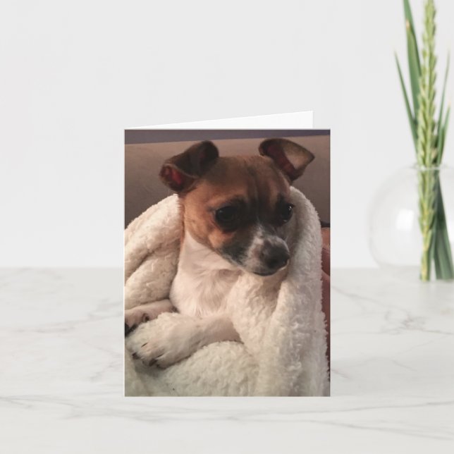 Folded Thank You Card (Front)