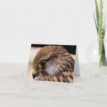 Folded Thank You Card