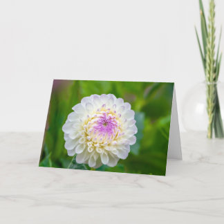 Folded Thank You Card