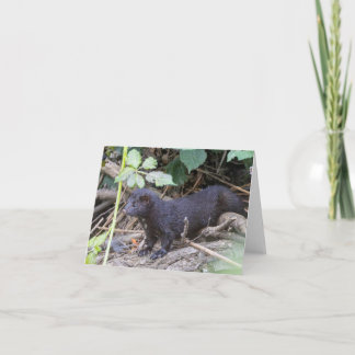 Folded Thank You Card