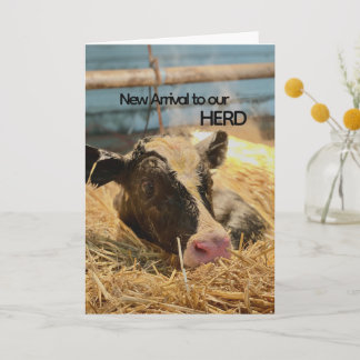 Folded Thank You Card Baby Announcement