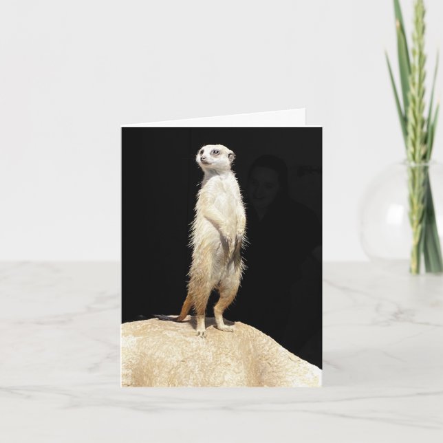 Folding Card - Meerkat Love  (Front)